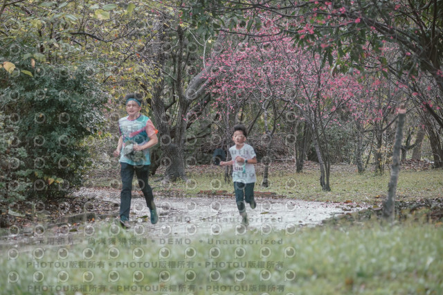 2026左岸竹東櫻花馬拉松Zhudong Sakura Marathon