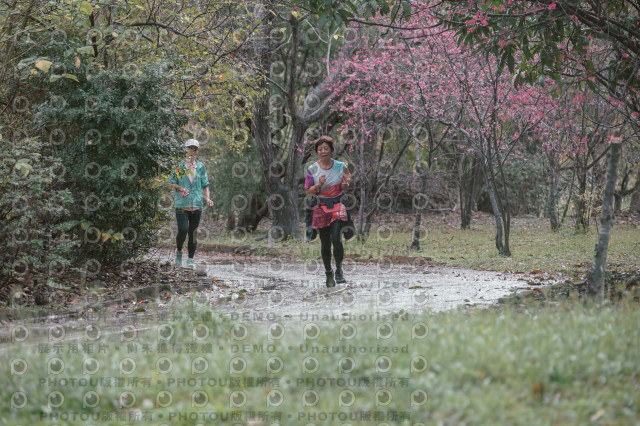 2026左岸竹東櫻花馬拉松Zhudong Sakura Marathon