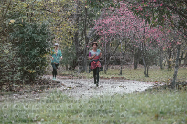 2026左岸竹東櫻花馬拉松Zhudong Sakura Marathon