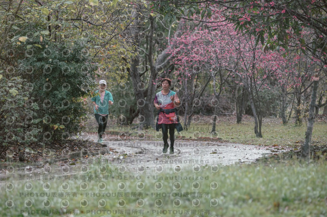 2026左岸竹東櫻花馬拉松Zhudong Sakura Marathon