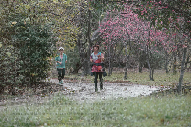 2026左岸竹東櫻花馬拉松Zhudong Sakura Marathon