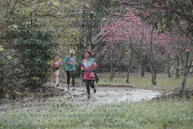 2026左岸竹東櫻花馬拉松Zhudong Sakura Marathon