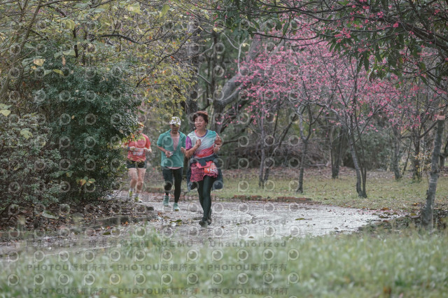 2026左岸竹東櫻花馬拉松Zhudong Sakura Marathon