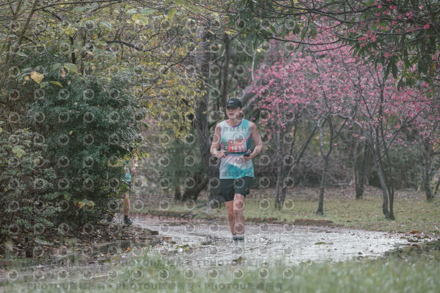 2026左岸竹東櫻花馬拉松Zhudong Sakura Marathon