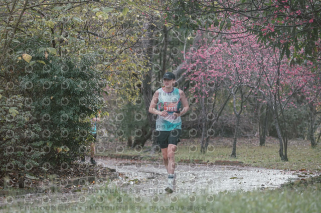 2026左岸竹東櫻花馬拉松Zhudong Sakura Marathon