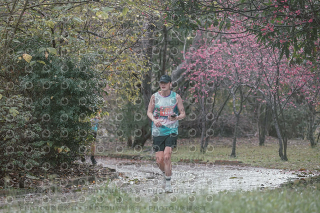 2026左岸竹東櫻花馬拉松Zhudong Sakura Marathon