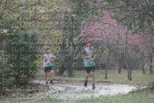 2026左岸竹東櫻花馬拉松Zhudong Sakura Marathon