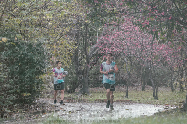 2026左岸竹東櫻花馬拉松Zhudong Sakura Marathon