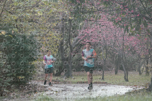 2026左岸竹東櫻花馬拉松Zhudong Sakura Marathon