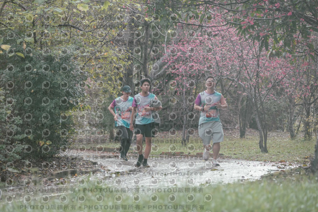 2026左岸竹東櫻花馬拉松Zhudong Sakura Marathon