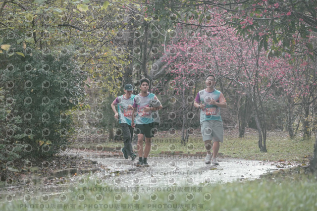 2026左岸竹東櫻花馬拉松Zhudong Sakura Marathon