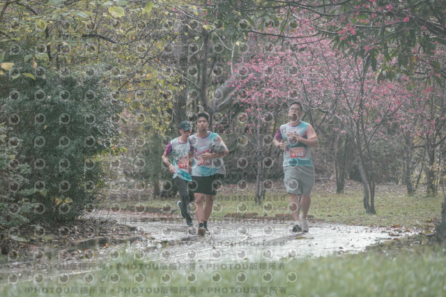 2026左岸竹東櫻花馬拉松Zhudong Sakura Marathon
