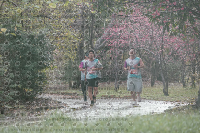 2026左岸竹東櫻花馬拉松Zhudong Sakura Marathon