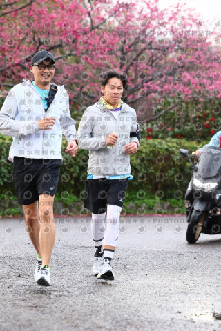 2026左岸竹東櫻花馬拉松Zhudong Sakura Marathon