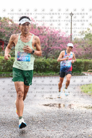 2026左岸竹東櫻花馬拉松Zhudong Sakura Marathon
