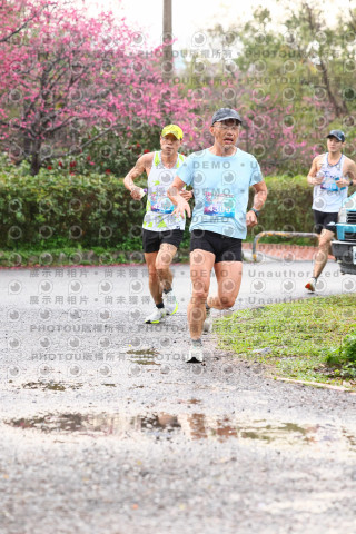 2026左岸竹東櫻花馬拉松Zhudong Sakura Marathon