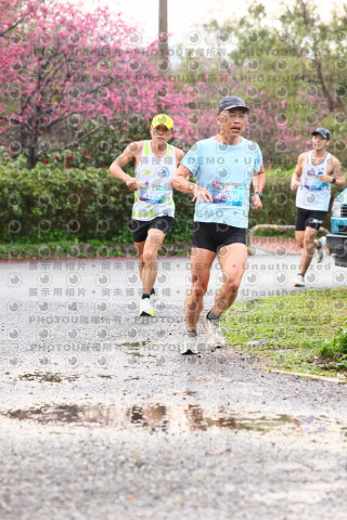 2026左岸竹東櫻花馬拉松Zhudong Sakura Marathon