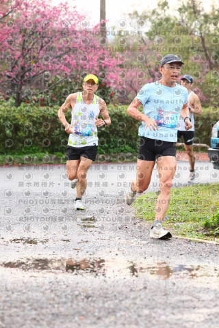 2026左岸竹東櫻花馬拉松Zhudong Sakura Marathon