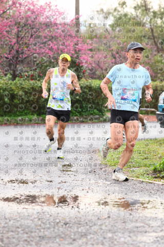 2026左岸竹東櫻花馬拉松Zhudong Sakura Marathon