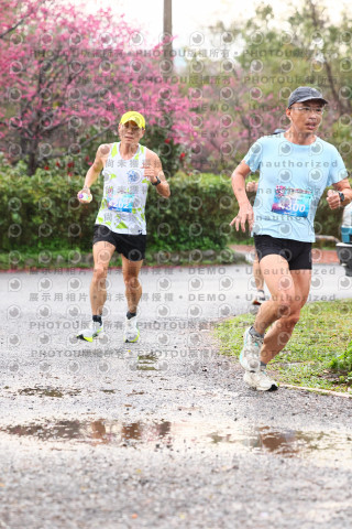 2026左岸竹東櫻花馬拉松Zhudong Sakura Marathon