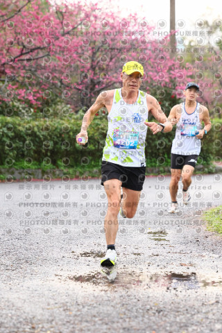 2026左岸竹東櫻花馬拉松Zhudong Sakura Marathon