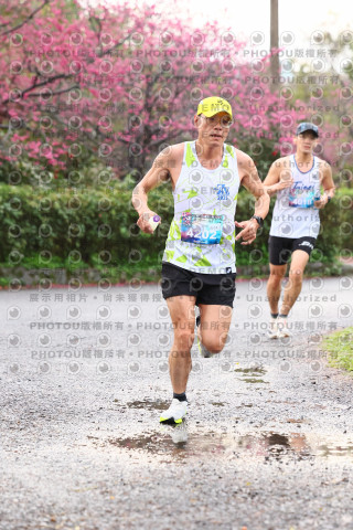 2026左岸竹東櫻花馬拉松Zhudong Sakura Marathon