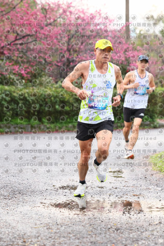 2026左岸竹東櫻花馬拉松Zhudong Sakura Marathon