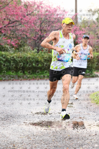 2026左岸竹東櫻花馬拉松Zhudong Sakura Marathon