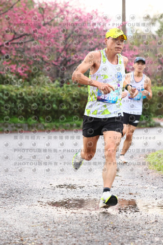 2026左岸竹東櫻花馬拉松Zhudong Sakura Marathon