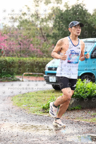 2026左岸竹東櫻花馬拉松Zhudong Sakura Marathon