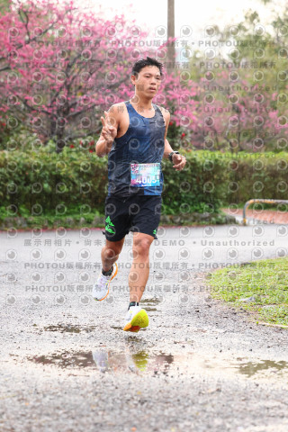 2026左岸竹東櫻花馬拉松Zhudong Sakura Marathon