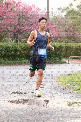 2026左岸竹東櫻花馬拉松Zhudong Sakura Marathon