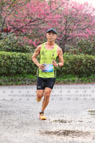 2026左岸竹東櫻花馬拉松Zhudong Sakura Marathon