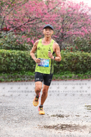 2026左岸竹東櫻花馬拉松Zhudong Sakura Marathon