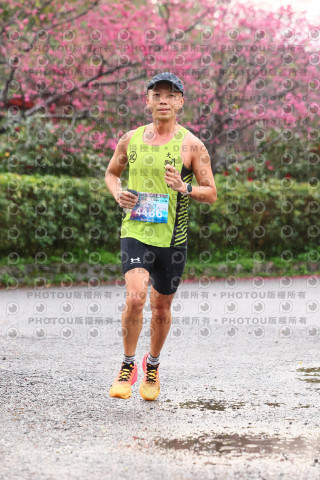 2026左岸竹東櫻花馬拉松Zhudong Sakura Marathon