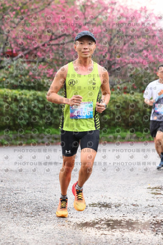 2026左岸竹東櫻花馬拉松Zhudong Sakura Marathon