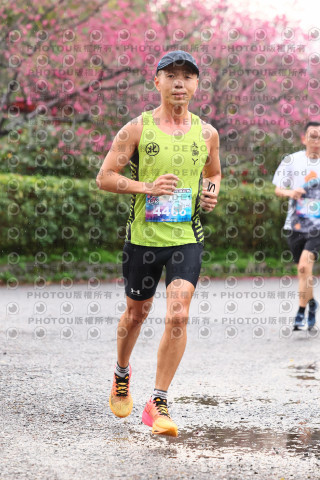 2026左岸竹東櫻花馬拉松Zhudong Sakura Marathon