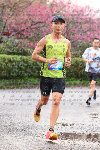 2026左岸竹東櫻花馬拉松Zhudong Sakura Marathon