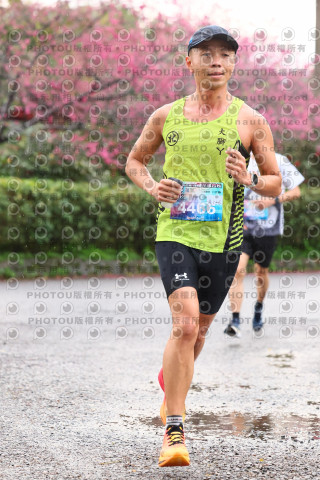 2026左岸竹東櫻花馬拉松Zhudong Sakura Marathon