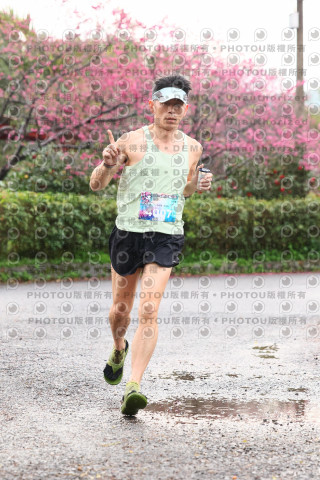 2026左岸竹東櫻花馬拉松Zhudong Sakura Marathon