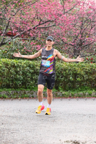 2026左岸竹東櫻花馬拉松Zhudong Sakura Marathon
