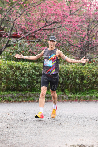 2026左岸竹東櫻花馬拉松Zhudong Sakura Marathon