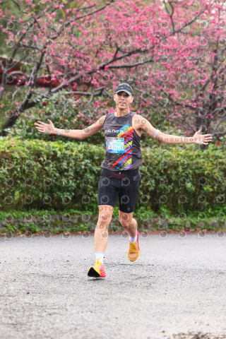 2026左岸竹東櫻花馬拉松Zhudong Sakura Marathon