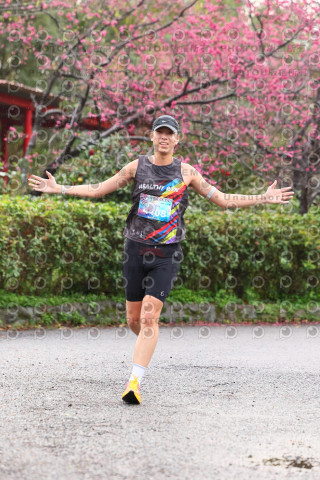 2026左岸竹東櫻花馬拉松Zhudong Sakura Marathon