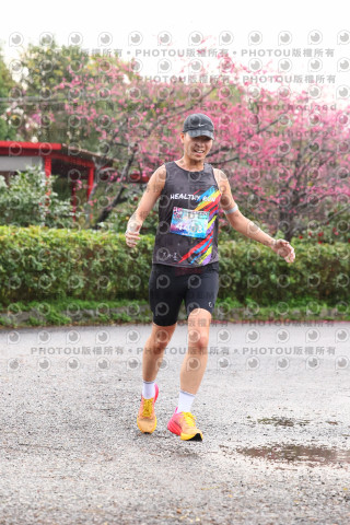 2026左岸竹東櫻花馬拉松Zhudong Sakura Marathon