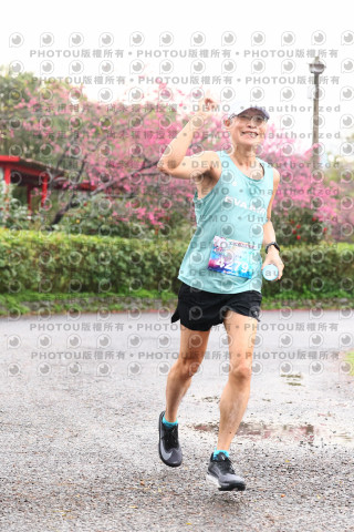 2026左岸竹東櫻花馬拉松Zhudong Sakura Marathon