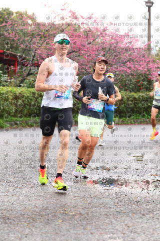 2026左岸竹東櫻花馬拉松Zhudong Sakura Marathon