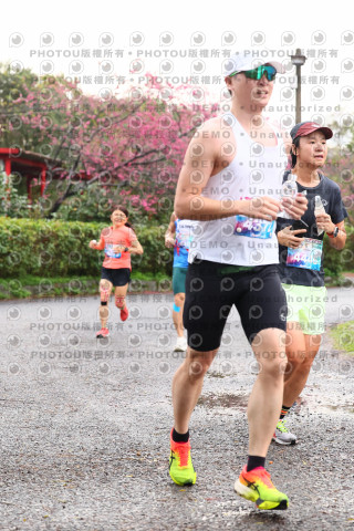 2026左岸竹東櫻花馬拉松Zhudong Sakura Marathon