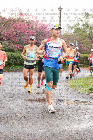 2026左岸竹東櫻花馬拉松Zhudong Sakura Marathon
