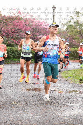 2026左岸竹東櫻花馬拉松Zhudong Sakura Marathon